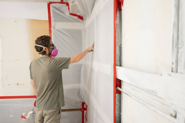 Best Mold Damage Restoration  in Brackenridge, PA